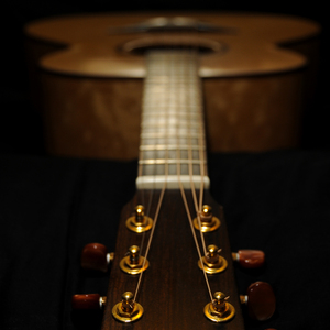 米奇影视盒第四88888
